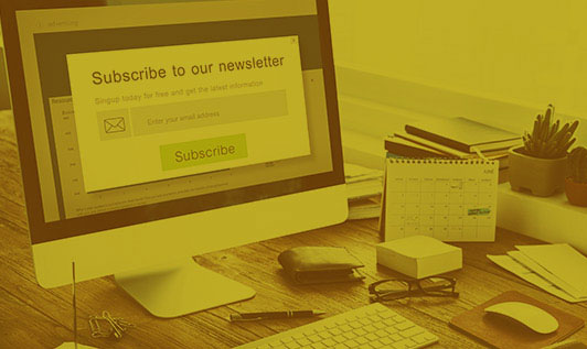 Email Newsletters